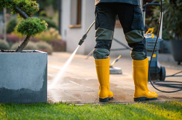 Best Pressure Washing Near Me  in Palmer, TX